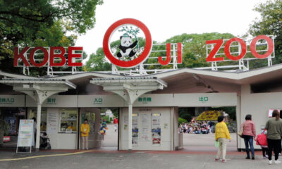 zoologico Kobe Oji Zoo