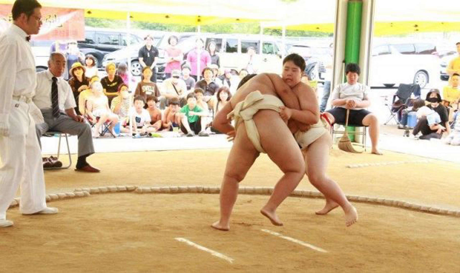 sumo